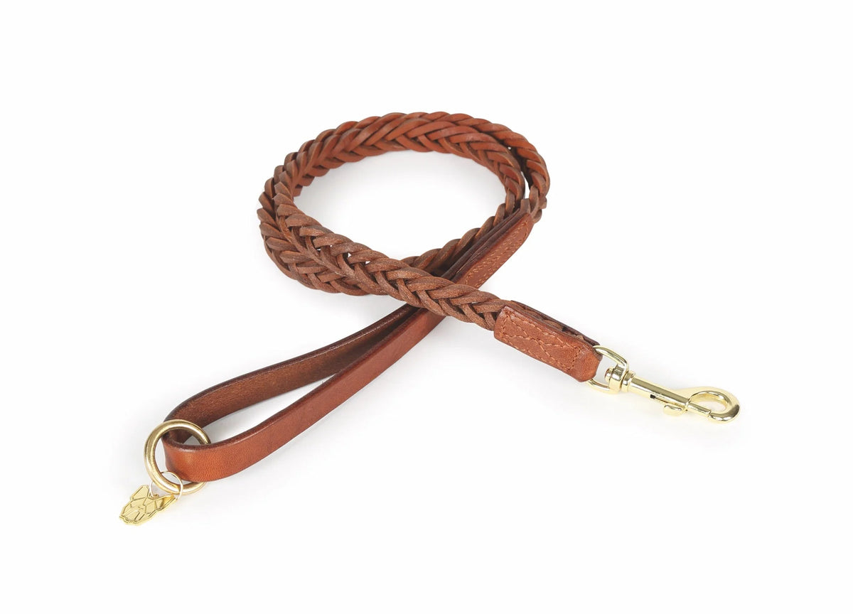 Digby & Fox Plaited Leather Dog Lead