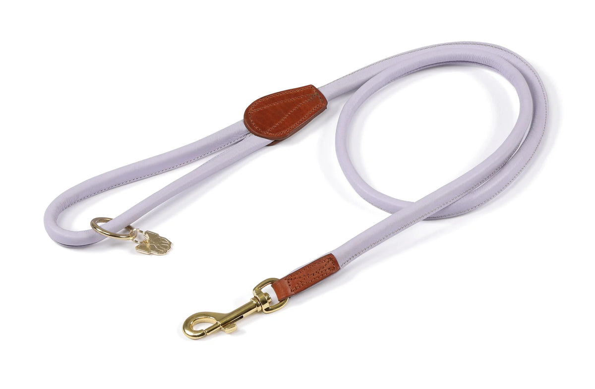 Digby & Fox Rolled Leather Dog Lead