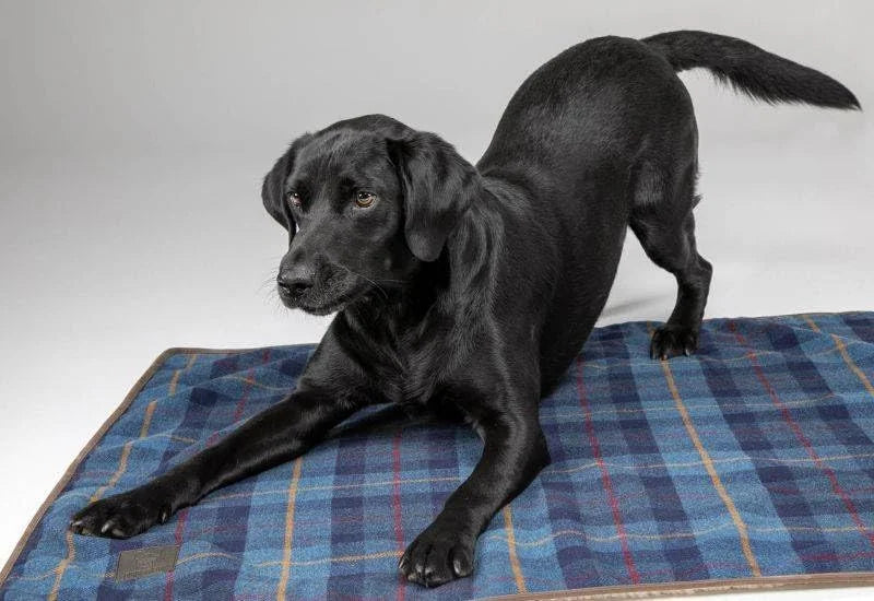 Digby & Fox Tweed Sherpa Dog Blanket