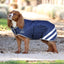 Digby & Fox Waterproof Insulated Dog Coat