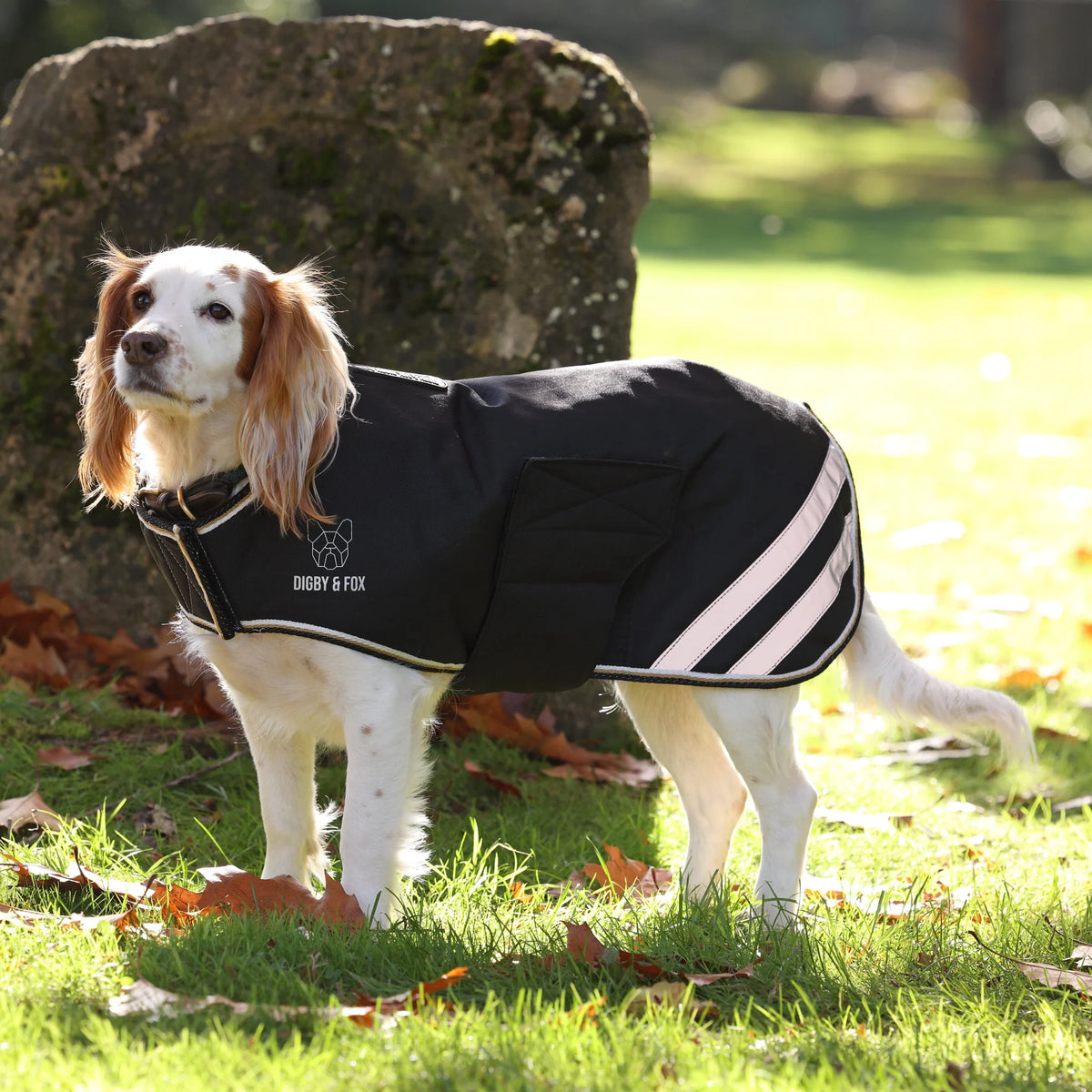 Digby & Fox Waterproof Insulated Dog Coat