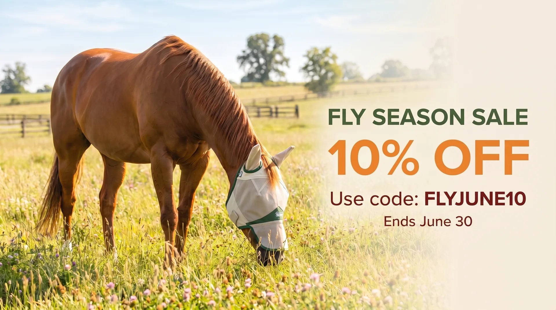 Fly Season Sale 10% off code FLYJUNE10