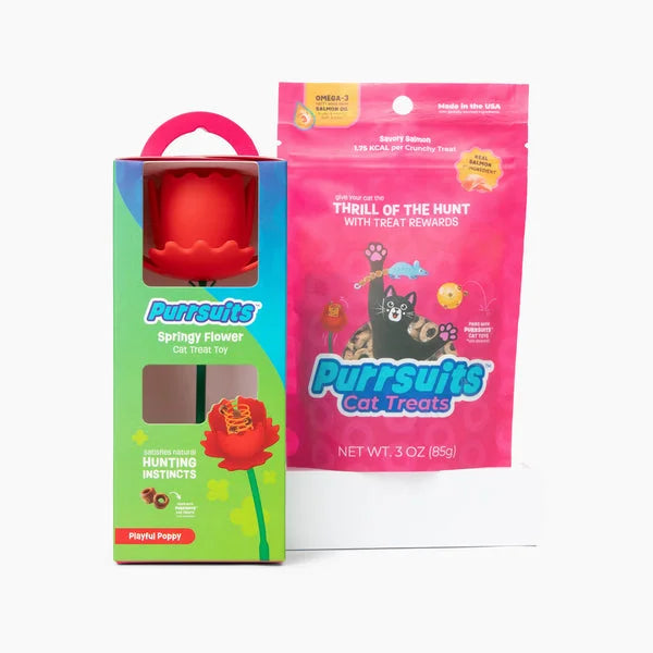 Giddy Kitty Cat Toys and Treats - Premium Interactive Play & Healthy Snacks for Your Barn Cat