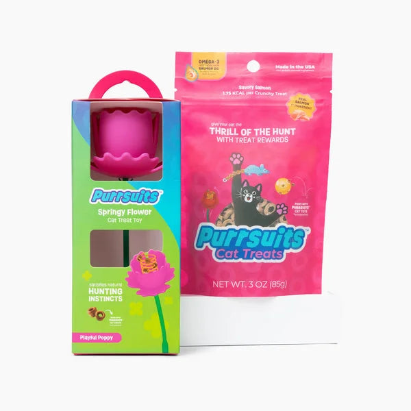 Giddy Kitty Cat Toys and Treats - Premium Interactive Play & Healthy Snacks for Your Barn Cat