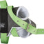 Green equestrian bridle with black and gray padding on a white background