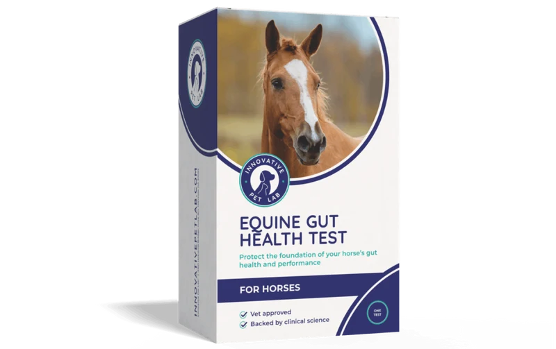 Gut Test Kit – Non-Invasive & Fast Results - Vet Trusted - Easy at-Home Stool Test