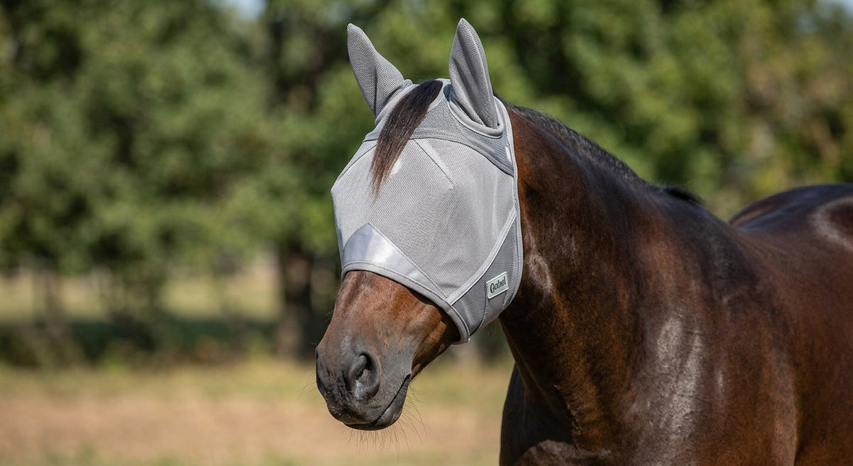 AI illustration of a bay horse wearing a standard grey fly mask