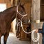 Lifestyle photo of Professional's Choice Rope Halter with 10' Lead - Training