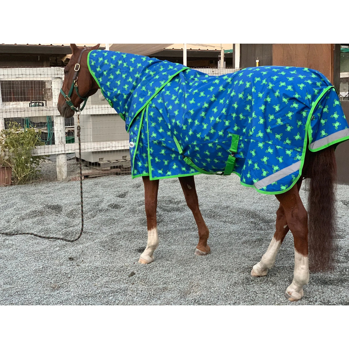 Mackey, Inc. Frogs Print Waterproof Horse Rainsheet - Lightweight Turnout Sheet - Multiple Sizes