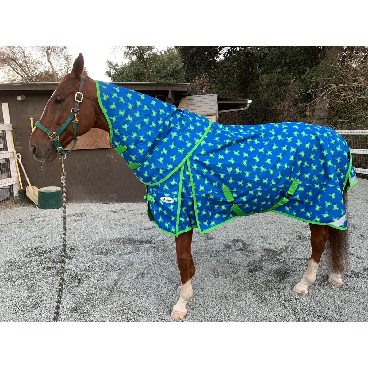 Mackey, Inc. Frogs Print Waterproof Horse Rainsheet - Lightweight Turnout Sheet - Multiple Sizes