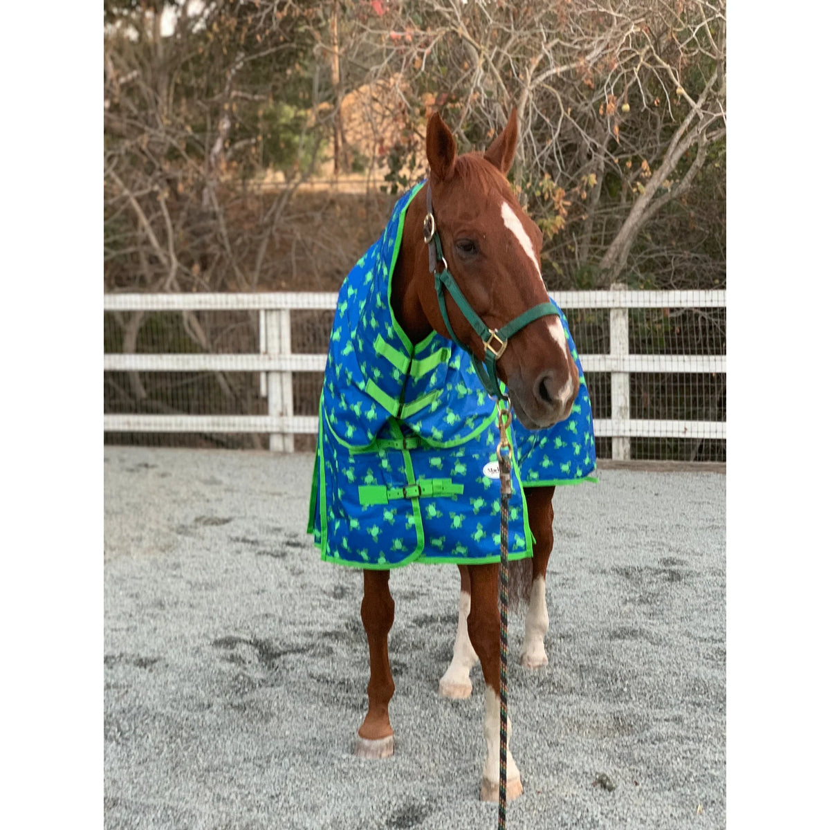 Mackey, Inc. Frogs Print Waterproof Horse Rainsheet - Lightweight Turnout Sheet - Multiple Sizes