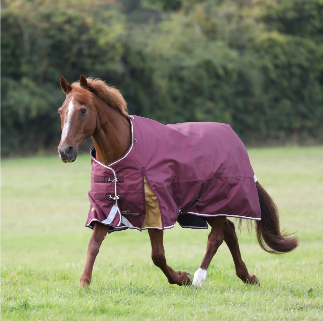 Shires Highlander Plus 100g Standard Neck Turnout Rug - 1200D Ripstop Waterproof Horse Blanket - Maroon