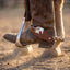 Martin Saddlery Tombstone spur strap buckled on a western boot with spur