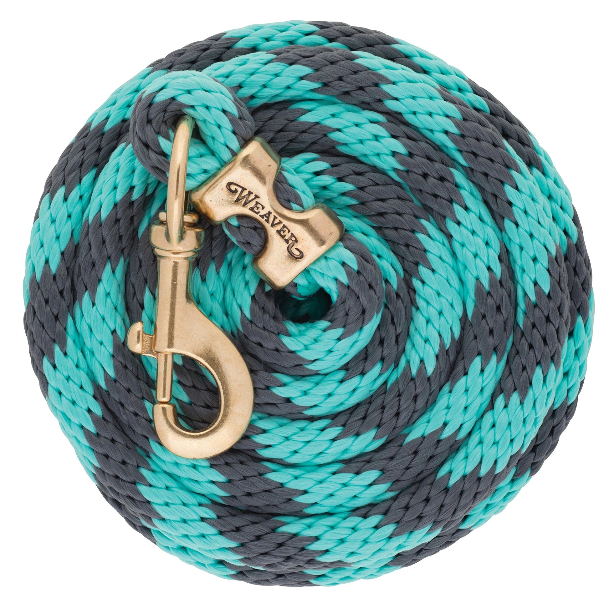 Turquoise and black braided rope with a gold clasp on a white background