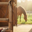 Cashel Adjustable Leather & Rope Reins - Brown with Rawhide Accents & Quick-Release Snaps - 8'