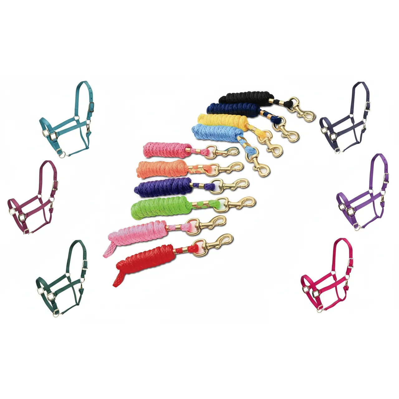 Shires ARMA Padded Halter and Lead Rope Sets in a vibrant array of colors including teal, burgundy, navy, hunter green, purple, and fuchsia. Designed with anti-rub padding and durable brass hardware, these equestrian sets provide comfort and style. Each nylon halter comes with a matching cotton lead rope. Ideal horse tack for grooming and turnout, available in a rainbow of shades to suit any horse or pony.