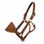 Professional's Choice Floral Tooled Bronc Halter made from premium roughout leather. This western horse halter features a wide, intricately hand-tooled floral noseband and durable silver-tone hardware, including an adjustable crown strap and throat latch snap. A stylish and functional choice for show or daily use, this high-quality leather tack combines classic western craftsmanship with professional performance for any equestrian's collection.