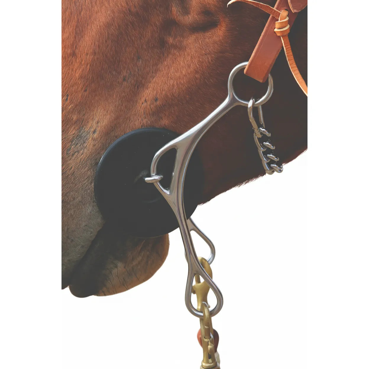 Professional's Choice Brittany 8" Shank Gag Bit with a 5" Sweet Iron Mouthpiece on a brown horse. This high-performance Western gag bit features stainless steel shanks, black rubber bit guards, and a curb chain. Designed for lift and lateral control, it is perfect for barrel racing and speed events. Durable equestrian training equipment shown attached to a leather headstall and reins.