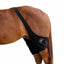 Professional's Choice Stifle Ice Wrap in black neoprene, fitted on a chestnut horse's hind leg to provide targeted cold therapy compression. This equestrian recovery wrap features adjustable straps for a secure fit over the stifle joint and internal pliable cold capsules designed to reduce inflammation and soreness. Ideal for horse injury management and performance maintenance.