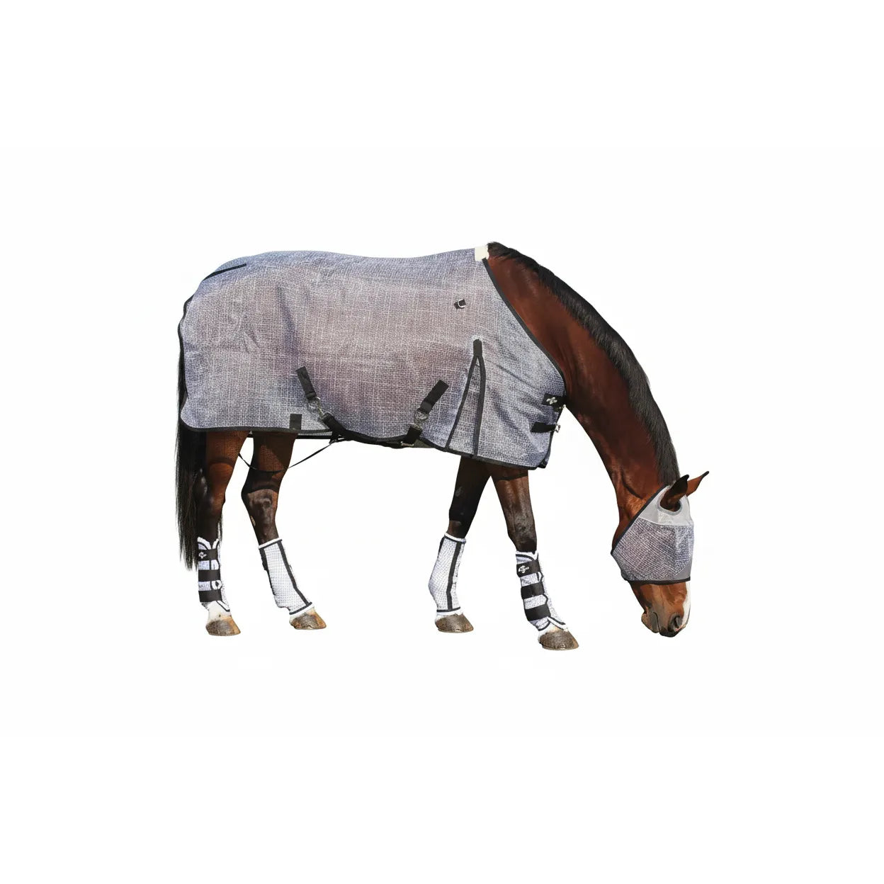 Professional's Choice Rip-Stop Fly Sheet in grey on a bay horse, featuring a breathable mesh design for maximum airflow and UV protection. This complete horse fly protection set includes the durable horse blanket with adjustable belly straps, matching fly mask, and four protective fly boots to keep your horse comfortable and bug-free in the pasture. High-quality equestrian fly gear for premium summer sun and insect defense.