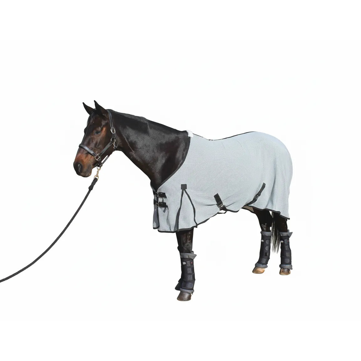 Professional's Choice Theramic Ceramic Therapy Sheet in light grey with black trim, designed for infrared muscle recovery and healing. This equine therapy rug features breathable ceramic-infused fabric, adjustable front buckles, and surcingles for a secure fit. Ideal for horse wellness, injury prevention, and post-exercise recovery. Shown on a dark bay horse with matching leg boots, providing a professional solution for peak performance and therapeutic comfort.
