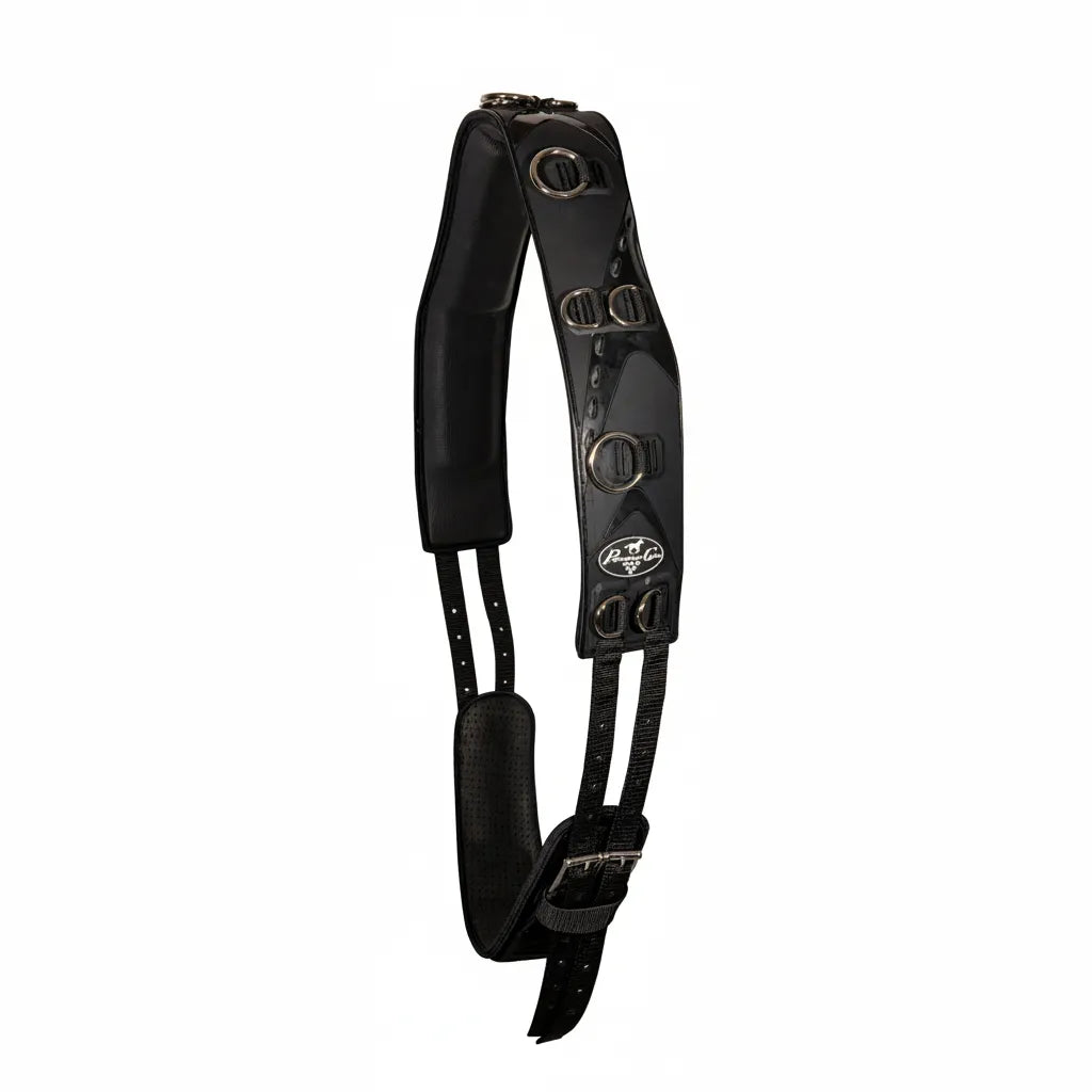 Professional's Choice TPU Horse Training Surcingle and Girth Set in sleek black. Waterproof TPU construction with multiple stainless steel D-rings for versatile lunging attachments. Includes a comfortable padded neoprene girth and adjustable buckles for a perfect one-size-fits-all fit. High-quality equestrian gear for ground work and professional horse training.