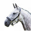 Shires Velociti GARA Blenheim Padded Leather Halter in black with brass hardware, modeled on a dapple gray horse. This premium equestrian halter features a soft padded noseband and headpiece for horse comfort, durable high-quality leather, and elegant brass buckles. A sophisticated and functional choice for horse shows or daily stable use, perfect for horse owners seeking stylish, top-tier leather tack and accessories.