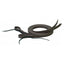 Weaver Leather Brahma Webb Split Reins in deep brown, featuring a durable, all-weather synthetic construction with a realistic leather-like finish. These single-ply trail reins are shown coiled with functional tie ends for secure bit attachment. Ideal for horse owners seeking low-maintenance, waterproof equestrian tack that stands up to rugged outdoor use and varied trail conditions.