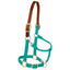 Weaver Leather Breakaway Nylon Halter in vibrant teal featuring a brown leather replaceable crown piece. This durable horse halter includes brass-finished hardware, an adjustable chin strap, and a snap throat latch. Designed for safety, the leather crown breaks under pressure to protect your horse during turnout. A stylish and reliable piece of equestrian gear, perfect for daily barn use and added peace of mind.
