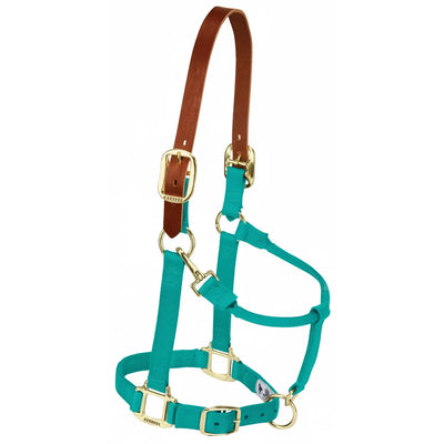 Weaver Leather Breakaway Nylon Halter in vibrant teal featuring a brown leather replaceable crown piece. This durable horse halter includes brass-finished hardware, an adjustable chin strap, and a snap throat latch. Designed for safety, the leather crown breaks under pressure to protect your horse during turnout. A stylish and reliable piece of equestrian gear, perfect for daily barn use and added peace of mind.