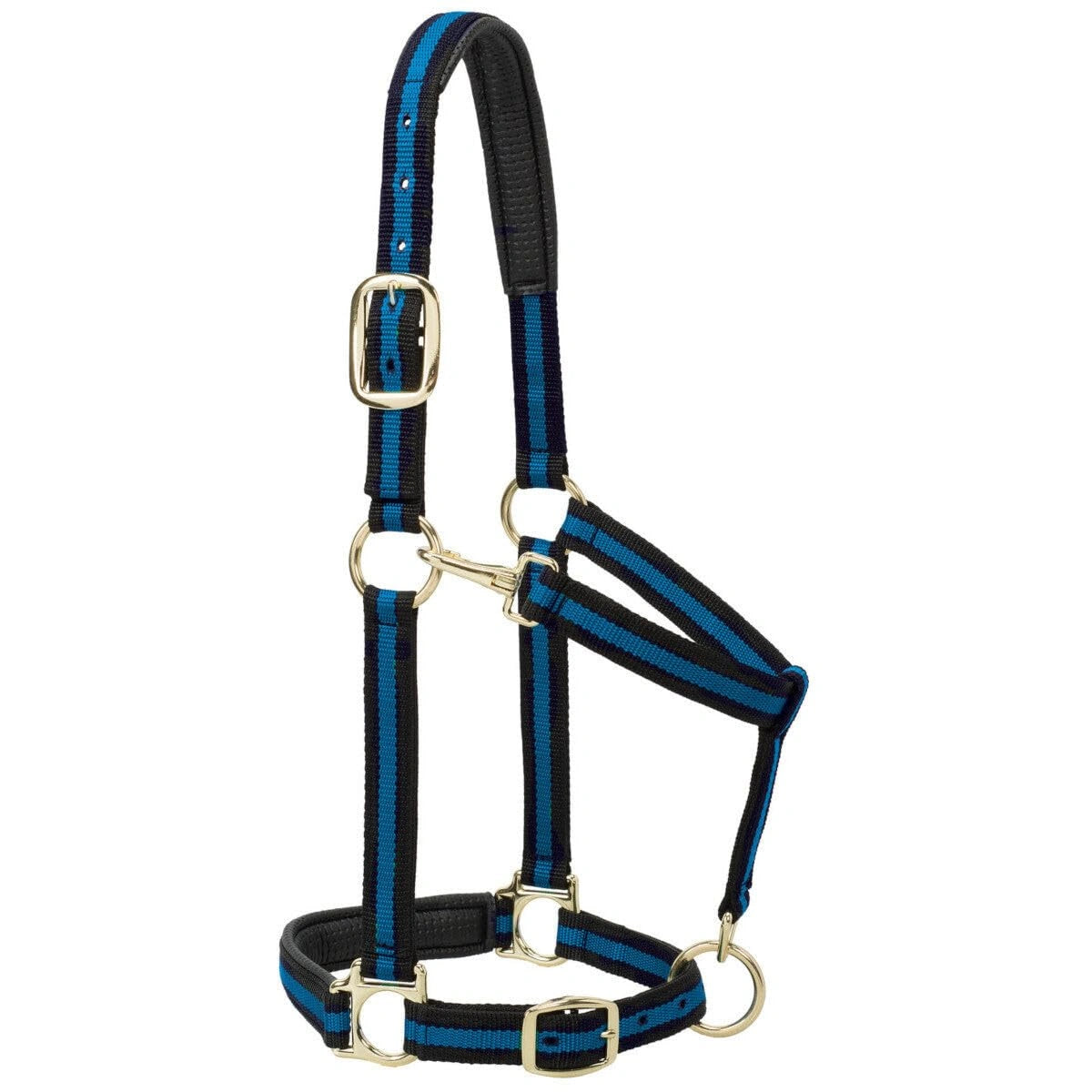 Weaver Equine Horse Halter: Comfort, Durability & Perfect Fit for Your Horse