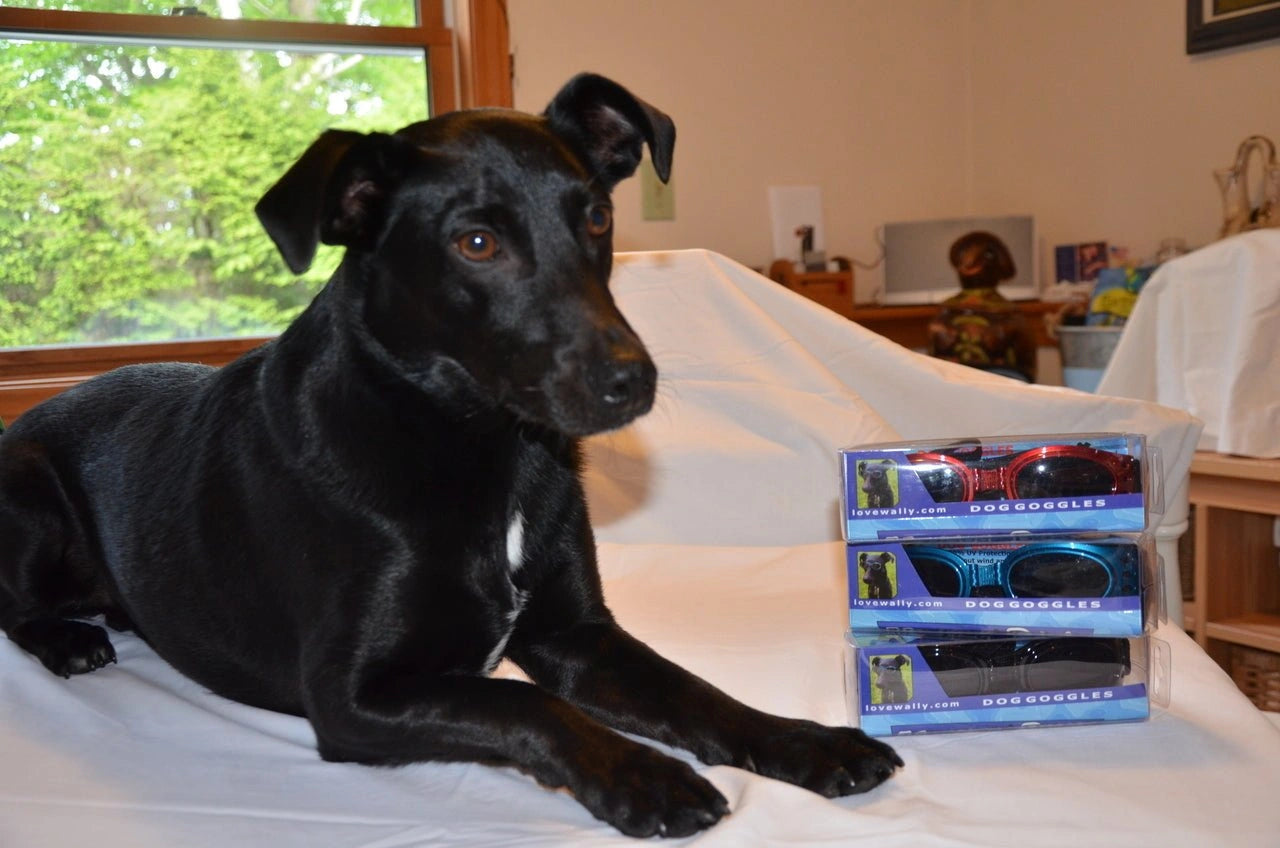 LoveWally Dog Goggles Sunglasses Outdoor Adventure Gear - Hooves and Paws