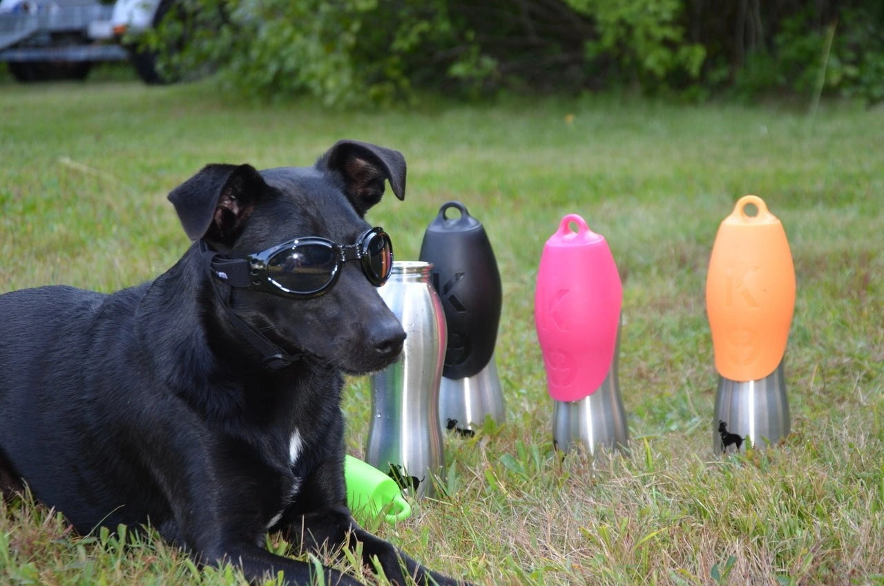 LoveWally Dog Goggles Sunglasses Outdoor Adventure Gear - Hooves and Paws
