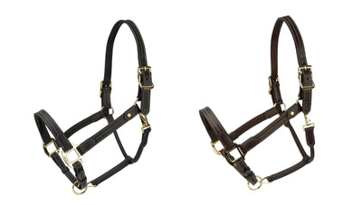 Velociti Lusso Girona Leather Headcollar
