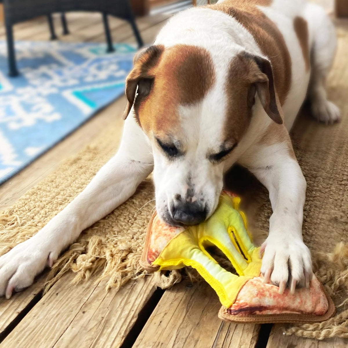 Doggijuana Refillable Premium Organic USA Catnip Dog Toy Naturally Calming - Hooves and Paws