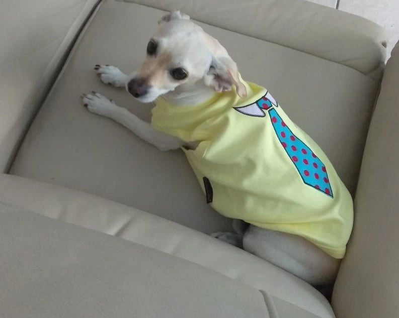 Parisian Pet I Work Out Embroidered Tshirt - Hooves and Paws