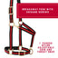 Weaver Leather Breakaway Halter - Padded Crown Safety Release