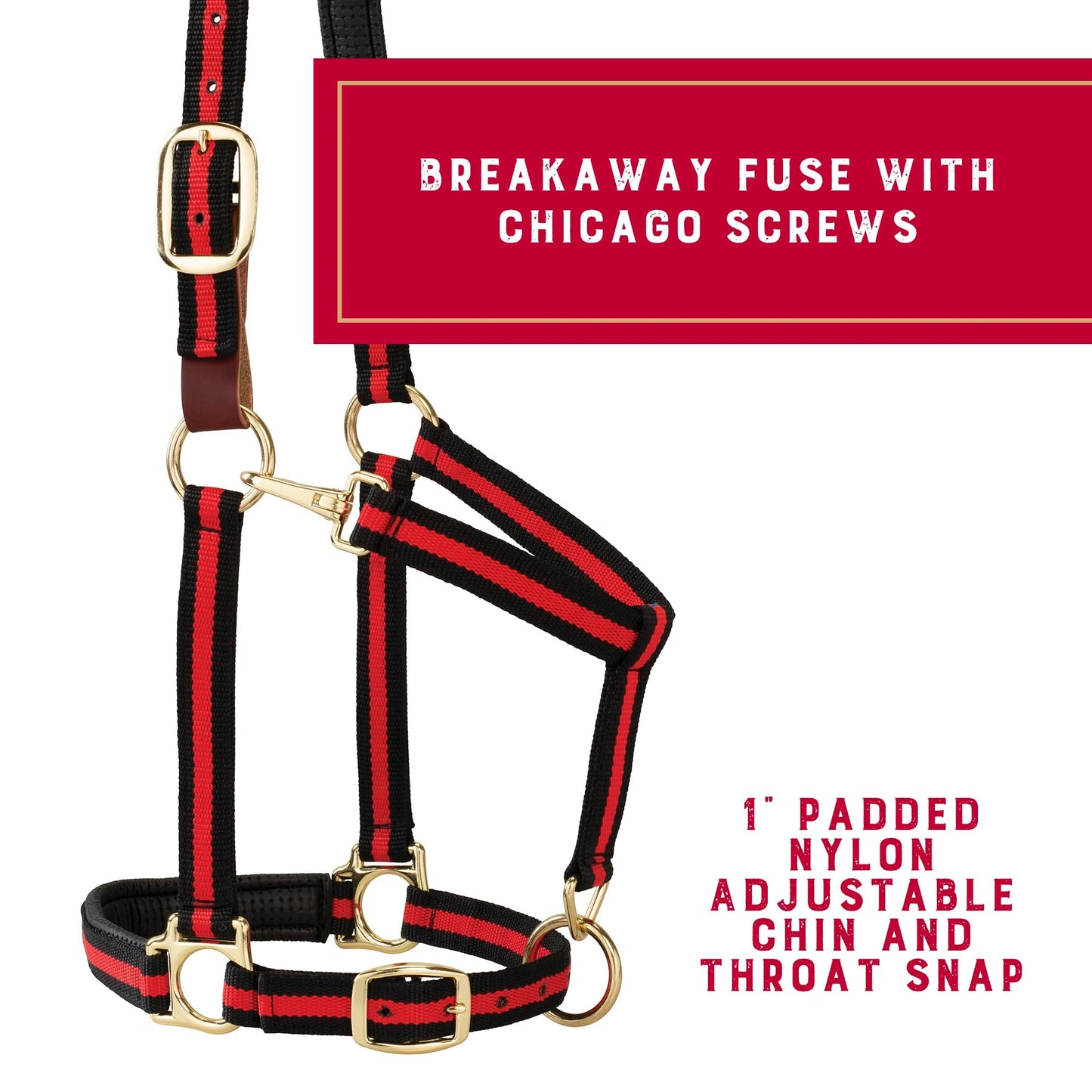 Weaver Leather Breakaway Halter - Padded Crown Safety Release