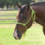 Professional's Choice Equisential Rope Halter with 8' Matching Lead - Durable Nylon Horse Halter