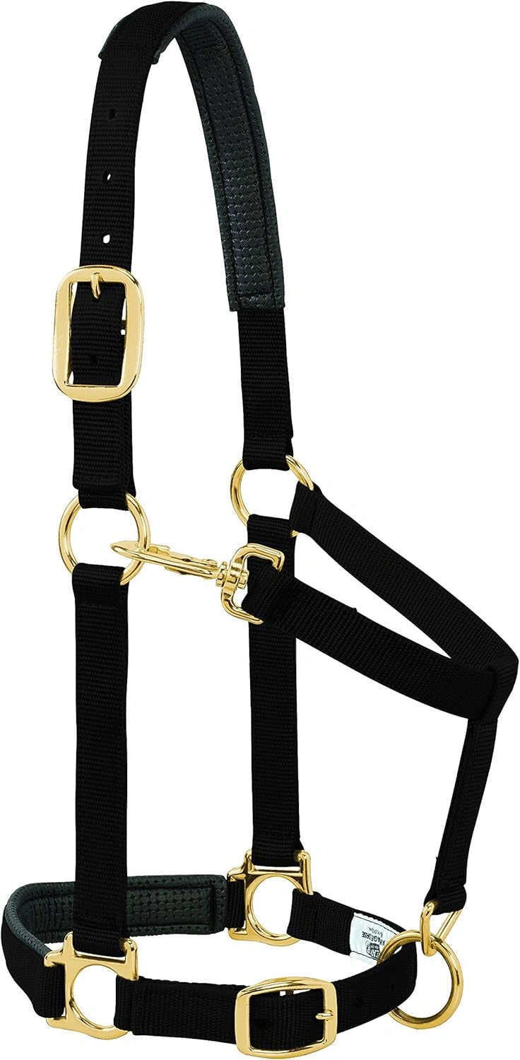 Weaver Leather Padded Adjustable Halter - Large Horse/Draft