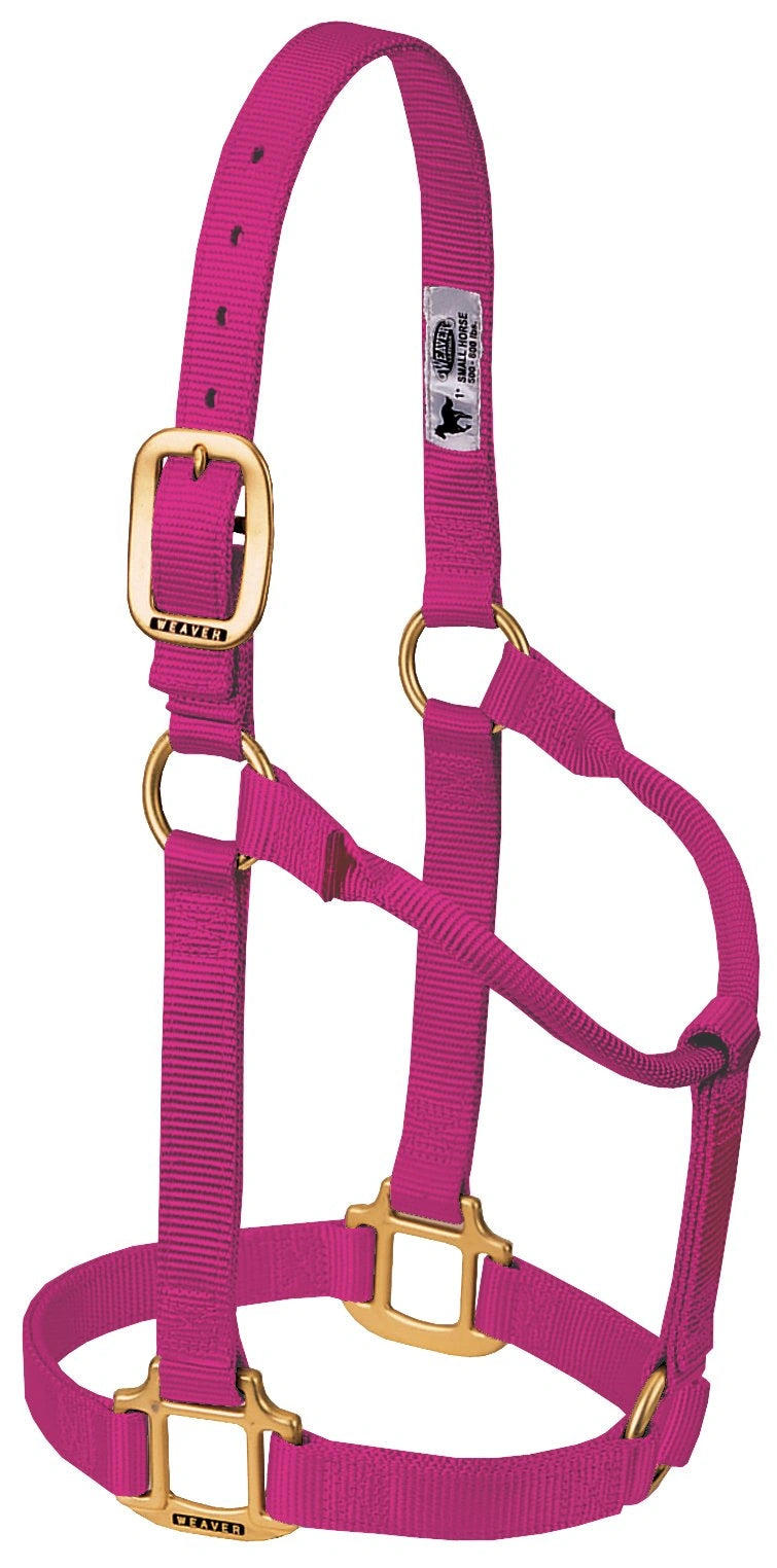Weaver Equine Horse Halter: Comfort, Durability & Perfect Fit for Your Horse