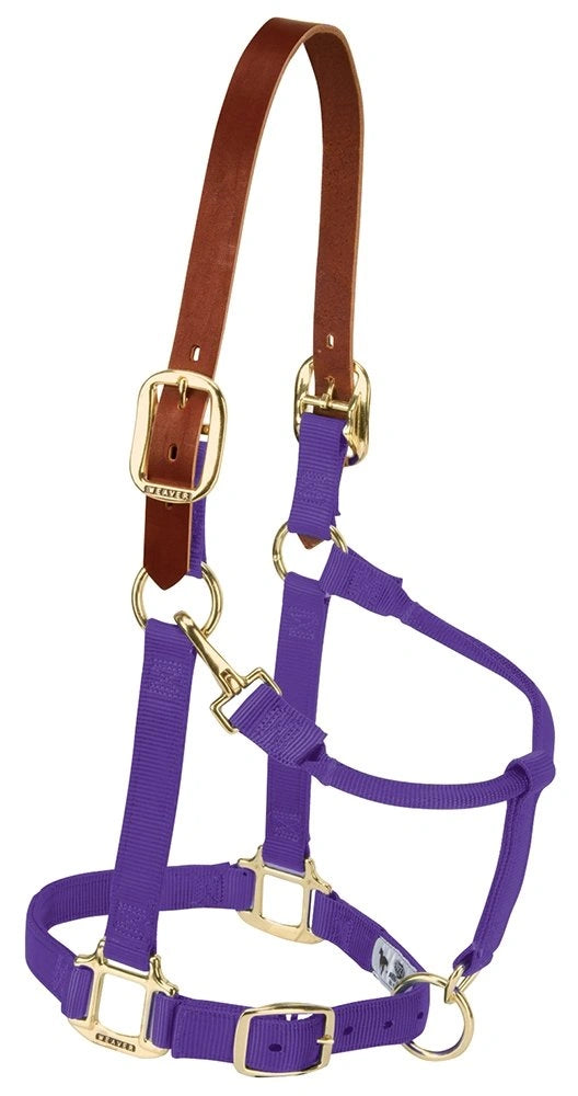 Weaver Leather Breakaway Nylon Halter – Replaceable Crown