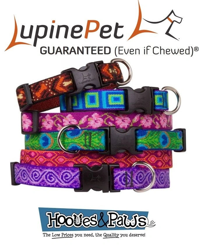 Dog Collar Lupine Pet Lifetime Adjustable 1/2" 3/4" or 1" Puppy Original Designs - Hooves and Paws
