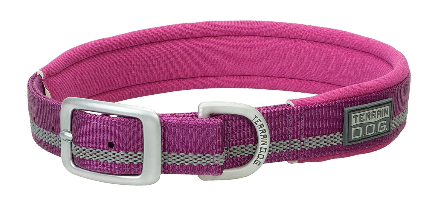 Weaver Leather Reflective Neoprene Lined Dog Collar (Sell out) - Hooves and Paws