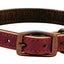 Weaver Leather Outlaw Dog Collar - Golden Brown Single-Ply Harness Leather with Black Dots & Wheat Stitching
