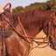 Martin Gmart Split Rein (Sell out) - Hooves and Paws