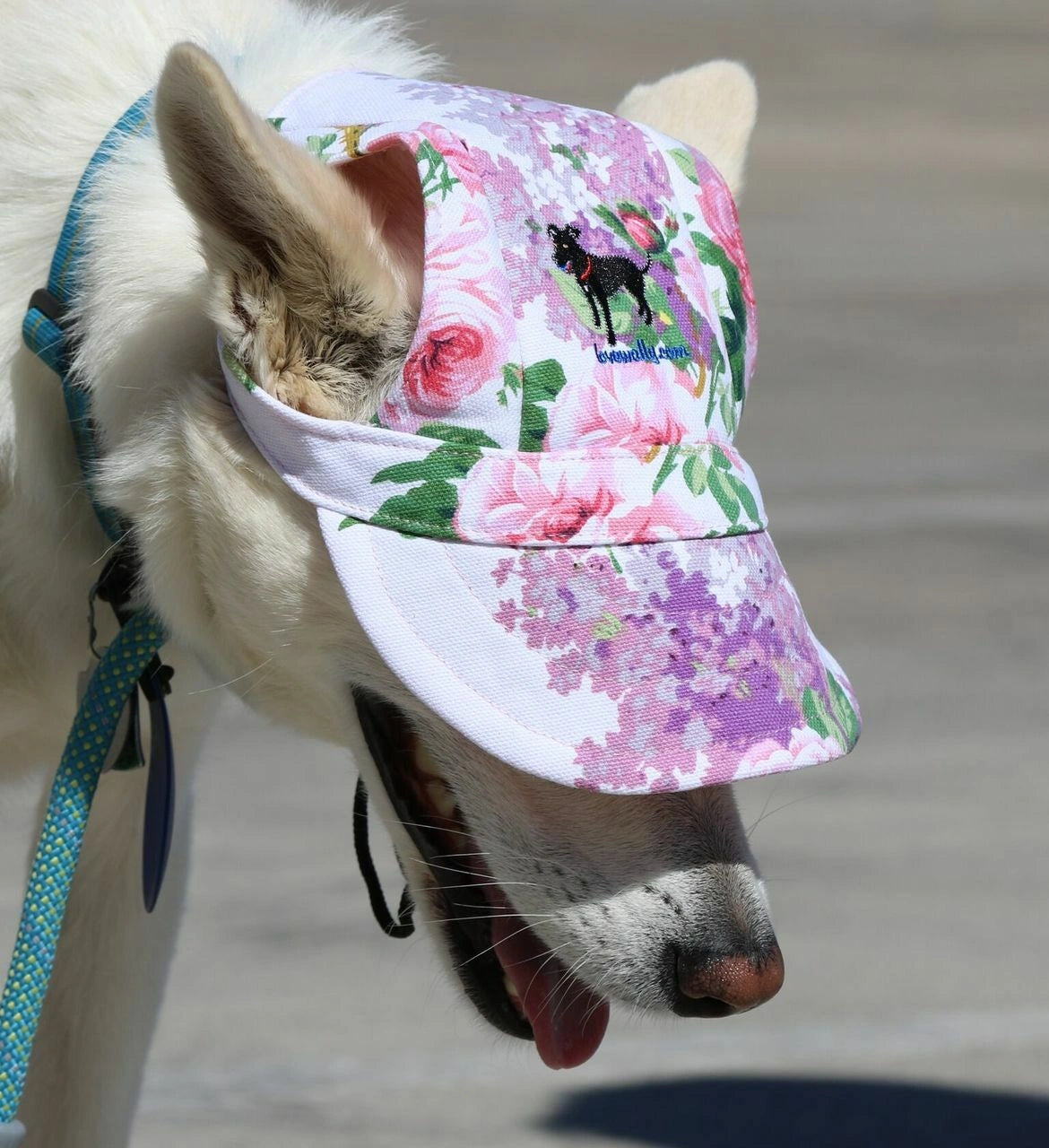 Dog Outdoor Adventure Gear Embroidered Pet Hat LoveWally Adjustable - Hooves and Paws