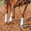Classic Equine ClassicFit Horse Sling Boots - Hooves and Paws