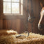Myler Stainless Steel J Hook #89-0010 on a straw bale in a sunlit barn with horse tack and a horse.