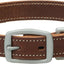 Weaver Leather Bridle Leather Dog Straight Collar Brown - Hooves and Paws